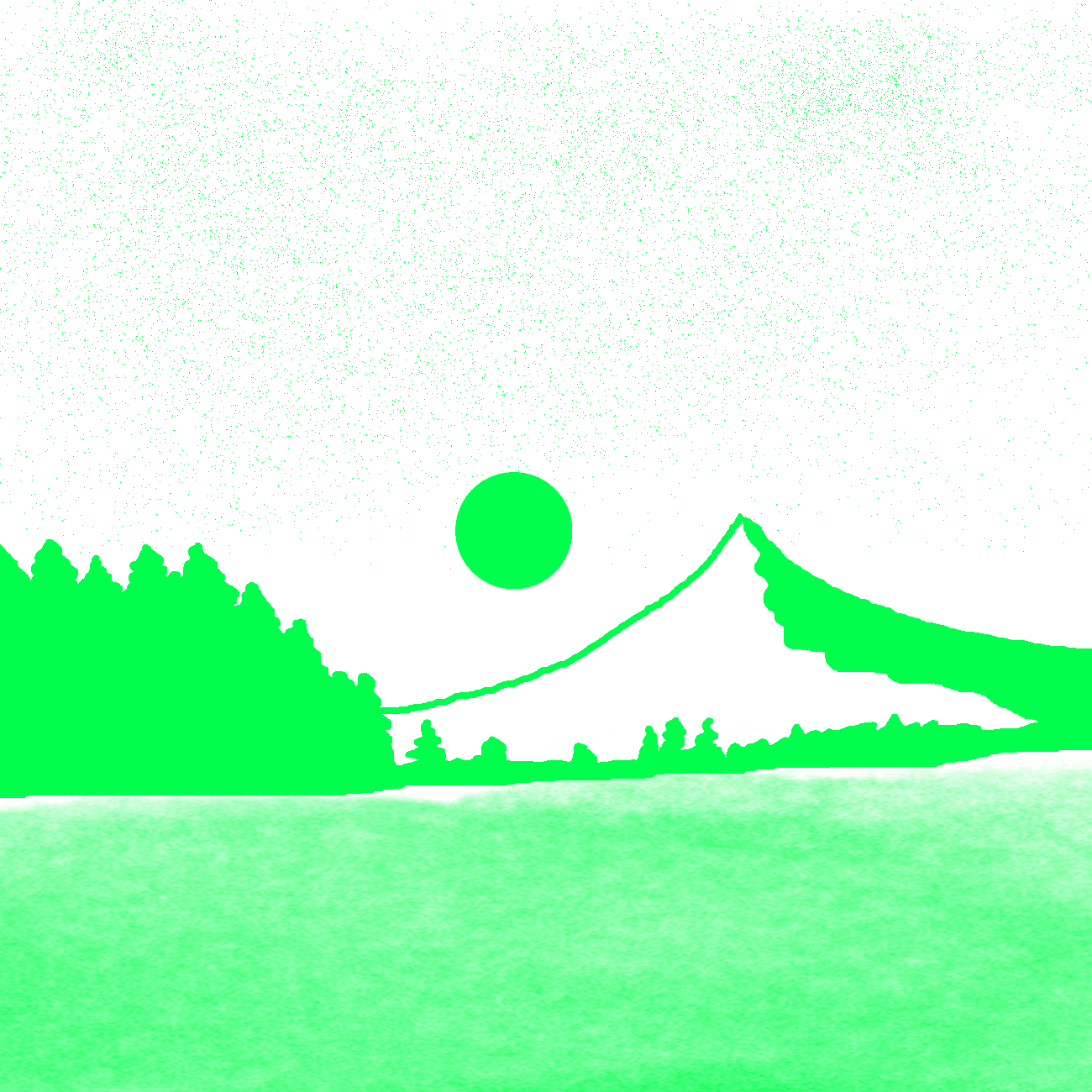 Empty field