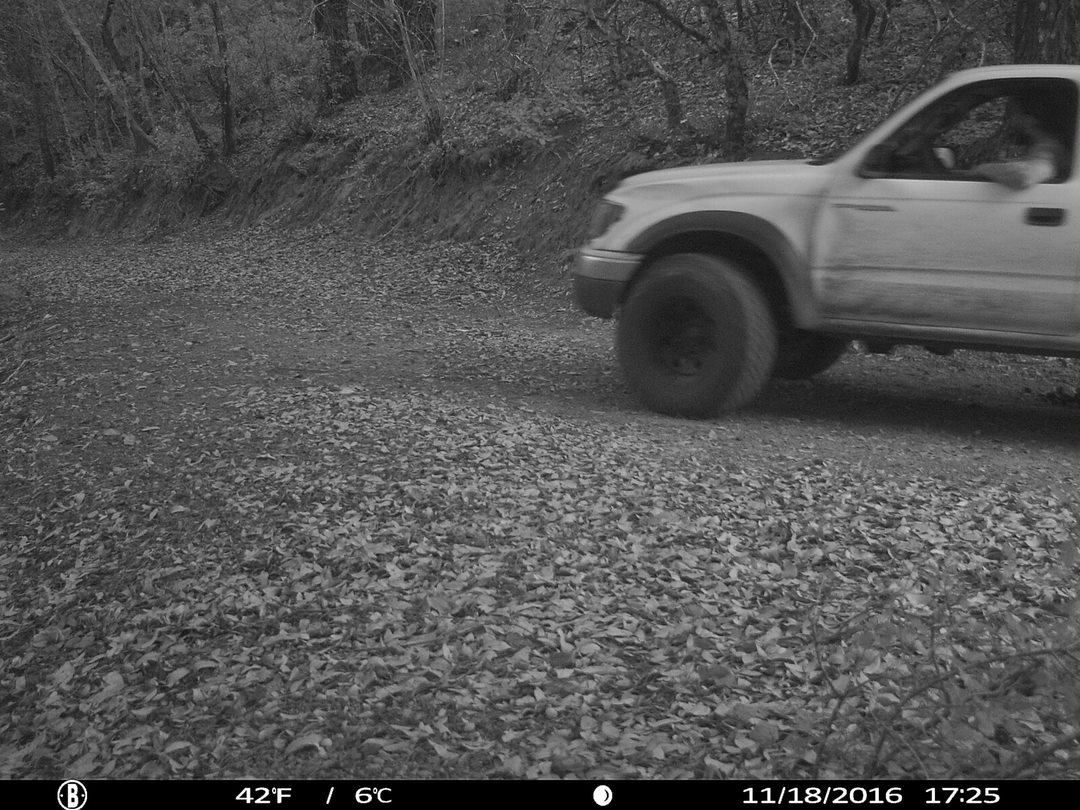 trail cam